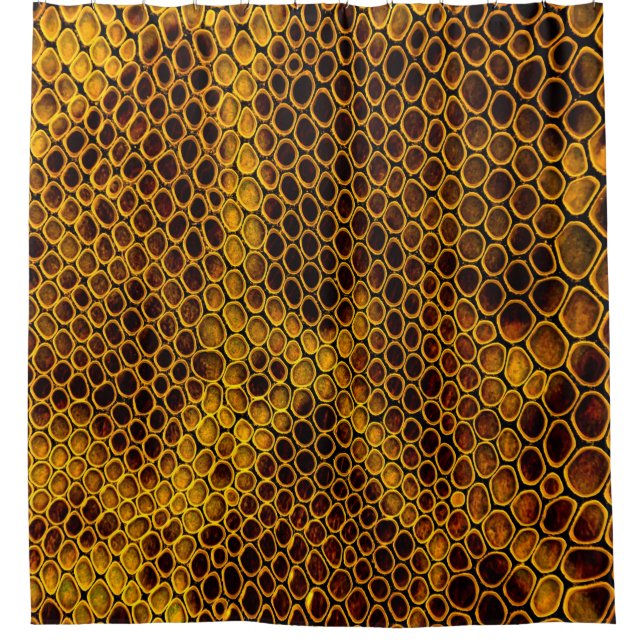 Snake Skin Texture Background Shower Curtain (Front)