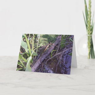 Snake Sunbath Custom Swamp Bayou Greeting Card