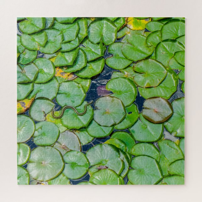 Snake Upon the Lily Pads Jigsaw Puzzle (Horizontal)