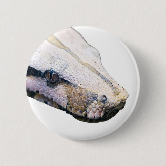 snakes- amazonian constrictor boa 6 cm round badge