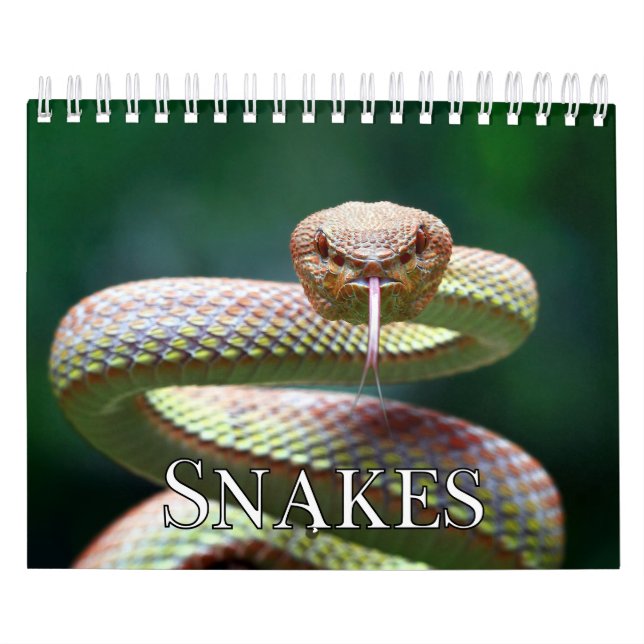 Snakes Collection Wall Calendar (Cover)