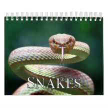Snakes Collection Wall Calendar