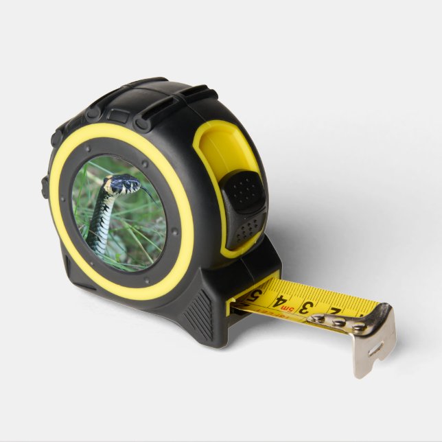 Snake's Head 1 (Angle)