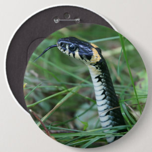 Snake's Head 6 Cm Round Badge