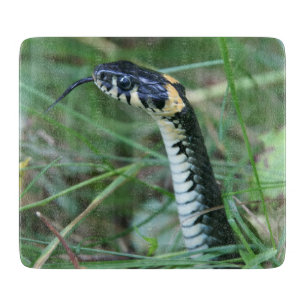 Snake's Head Cutting Board