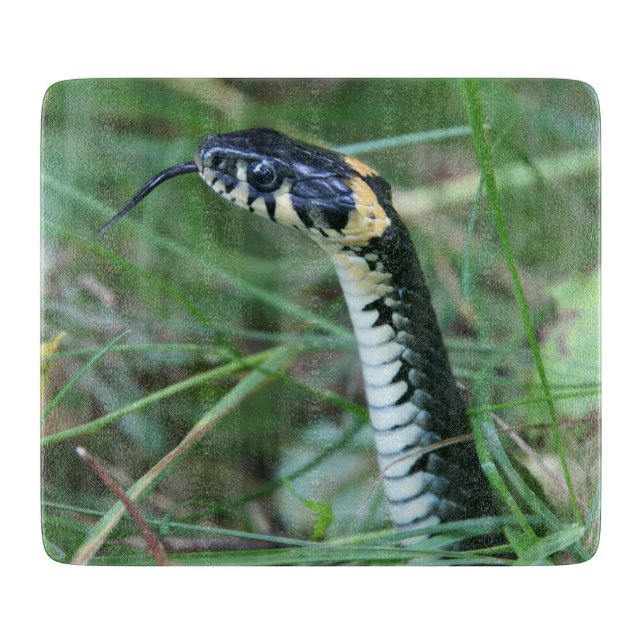 Snake's Head Cutting Board (Front)