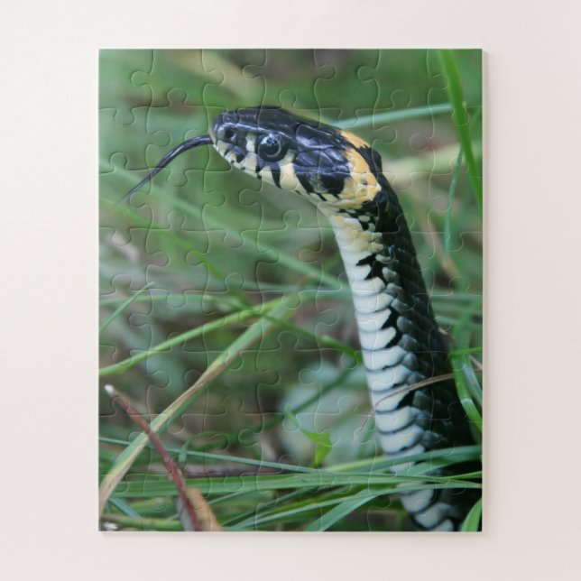 Snake's Head Jigsaw Puzzle (Vertical)