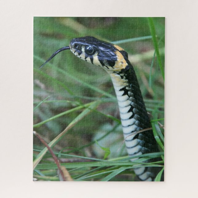 Snake's Head Jigsaw Puzzle (Vertical)