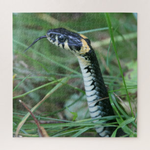 Snake's Head Jigsaw Puzzle