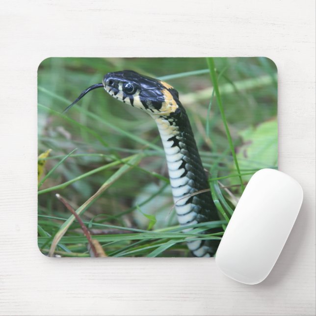 Snake's Head Mouse Mat (With Mouse)