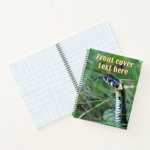Snake's Head  Notebook