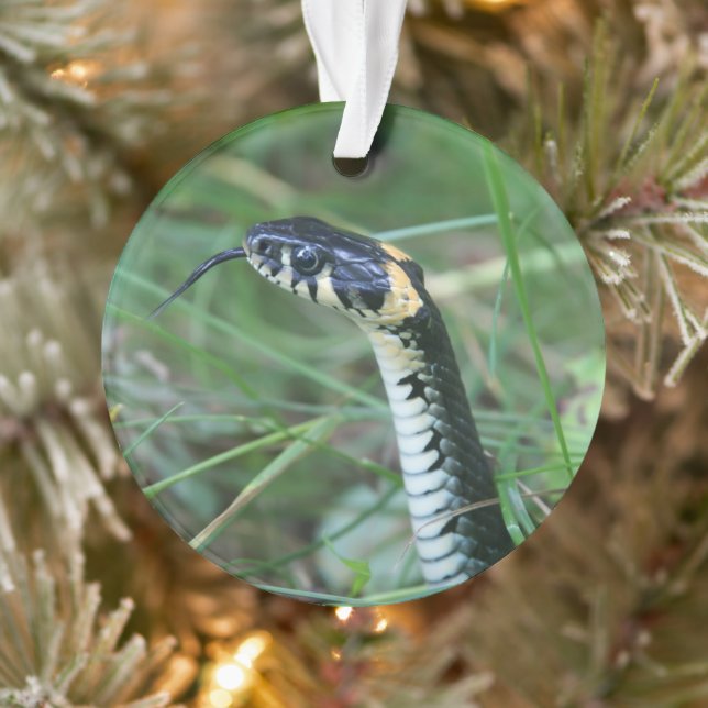 Snake's Head Ornament (Tree)