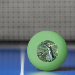 Snake's Head Ping Pong Ball
