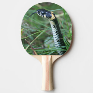 Snake's Head Ping Pong Paddle
