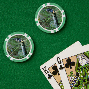 Snake's Head Poker Chips