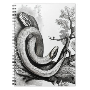 Snakes Notebook