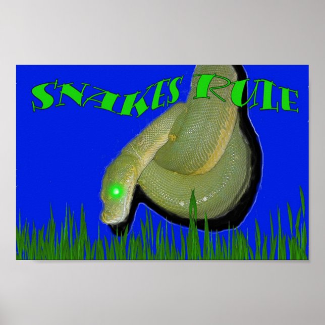 Snakes Rule!!! Poster (Front)