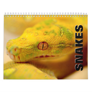 Snakes Wall Calendar
