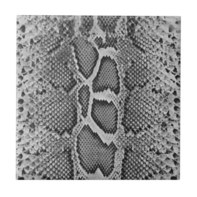 Snakeskin design, Snake Skin Print Pattern Tile (Front)