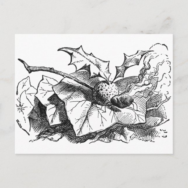 Snap Dragon Fly Postcard (Front)