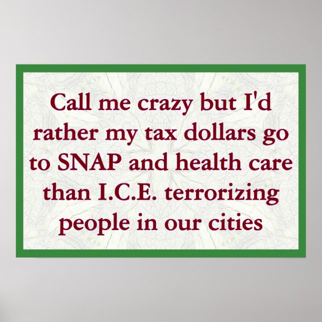 SNAP not ICE Poster (Front)