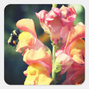 Snapdragon And Bee Flower Square Sticker