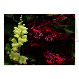 Snapdragon and Pagoda Flowers Colourful Floral