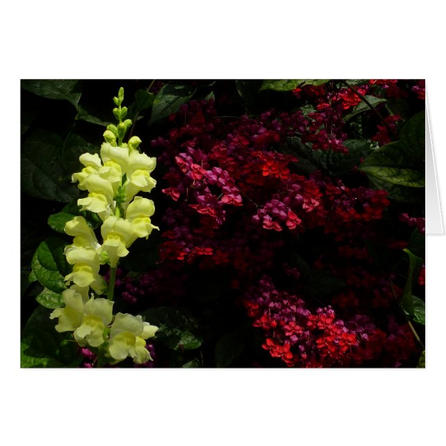 Snapdragon and Pagoda Flowers Colourful Floral (Front Horizontal)