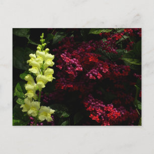 Snapdragon and Pagoda Flowers Colourful Floral Postcard
