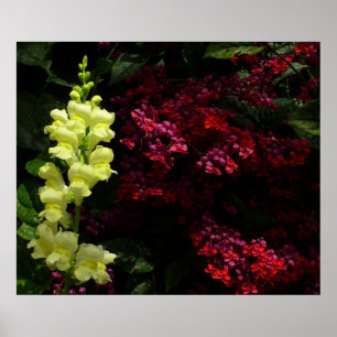Snapdragon and Pagoda Flowers Colourful Floral Poster