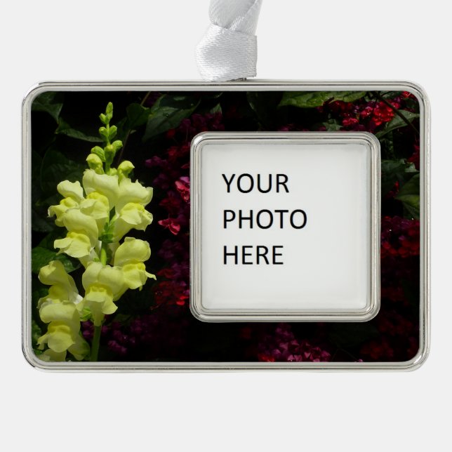Snapdragon and Pagoda Flowers Colourful Floral Silver Plated Framed Ornament (Front)
