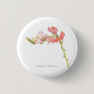Snapdragon button