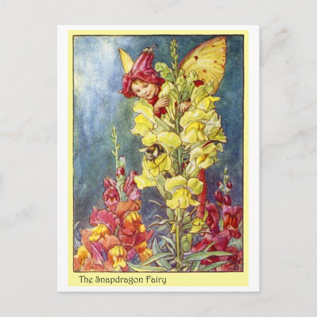 Snapdragon Fairy Postcard (Front)
