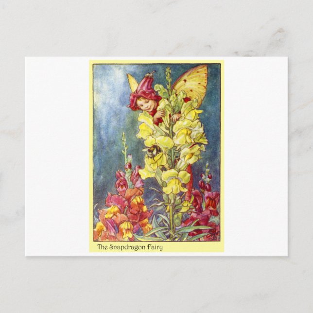 Snapdragon Fairy Postcard (Front)