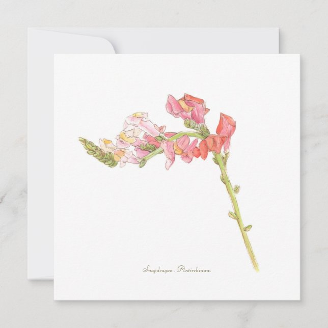 Snapdragon flat card (Front)