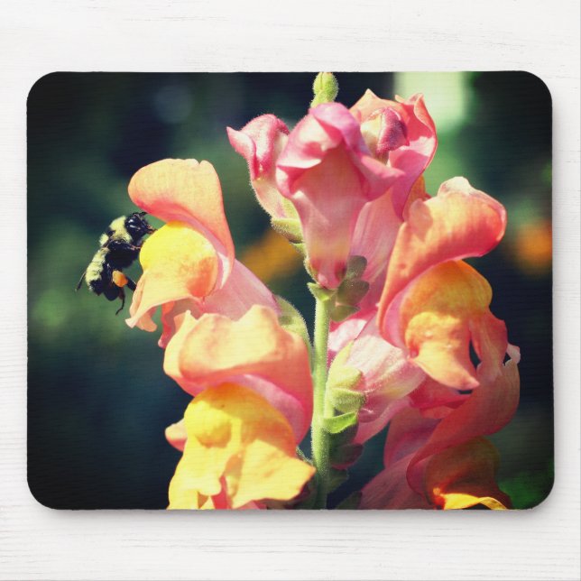 Snapdragon Flower And Bumble Bee  Mouse Mat (Front)