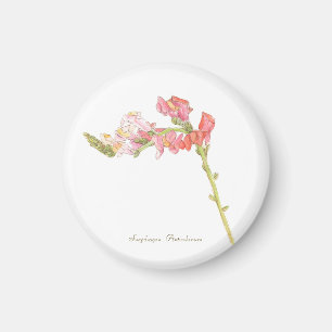 Snapdragon Magnet