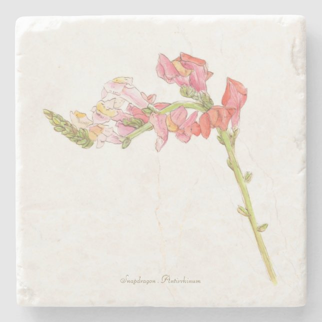 Snapdragon  stone coaster (Front)