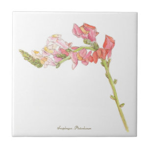 Snapdragon  tile