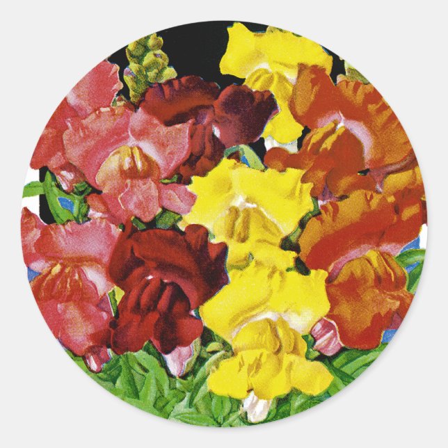 Snapdragon Vintage Seed Packet Classic Round Sticker (Front)