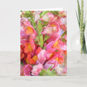 Snapdragons Bouquet Thank You Card