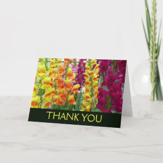 Snapdragons Colorful Floral Thank You Card