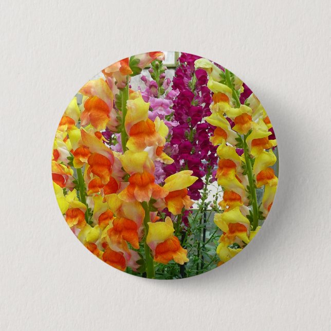 Snapdragons Colourful Floral 6 Cm Round Badge (Front)