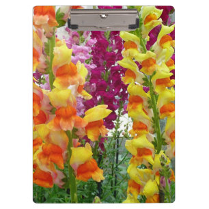 Snapdragons Colourful Floral Clipboard