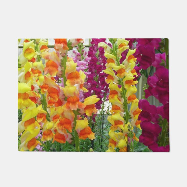 Snapdragons Colourful Floral Doormat (Front)