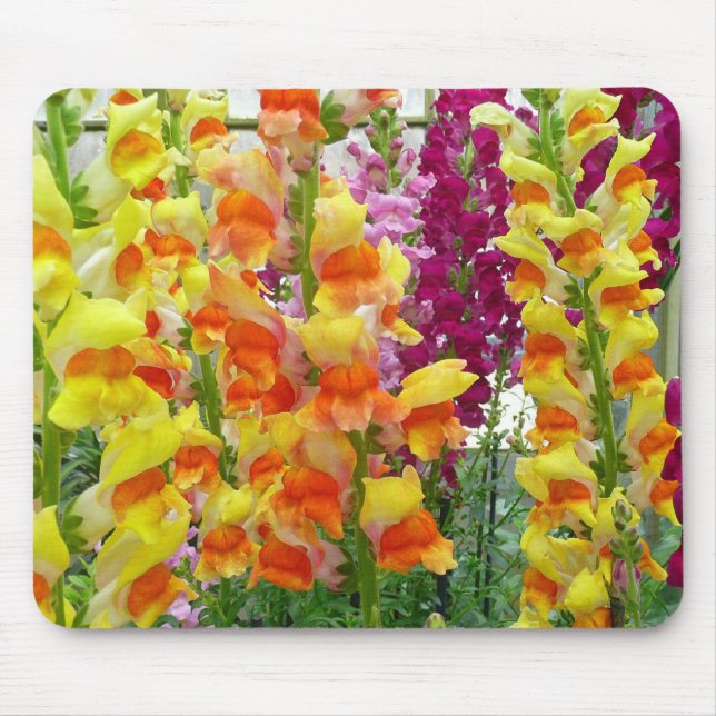 Snapdragons Colourful Floral Mouse Mat (Front)
