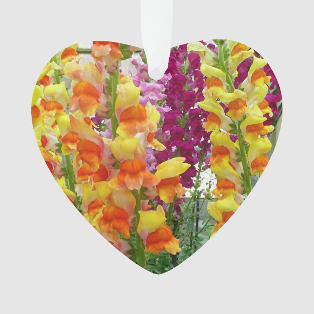 Snapdragons Colourful Floral Ornament (Front)