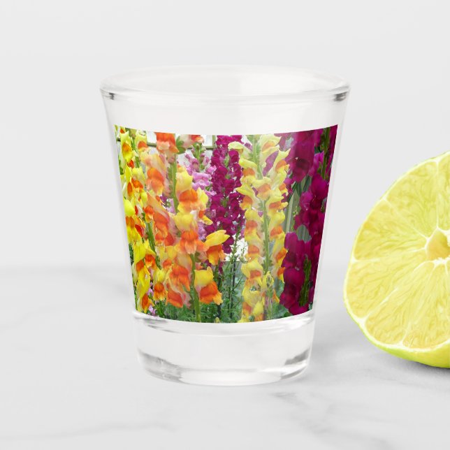 Snapdragons Colourful Floral Shot Glass (Front)