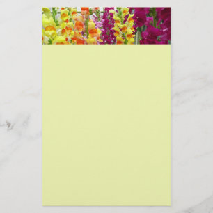 Snapdragons Colourful Floral Stationery