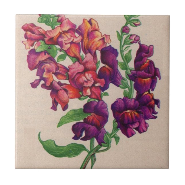 snapdragons tile (Front)